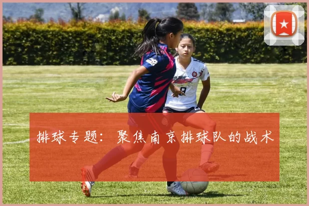 排球专题：聚焦南京排球队的战术