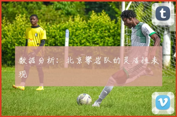 数据分析：北京攀岩队的灵活性表现