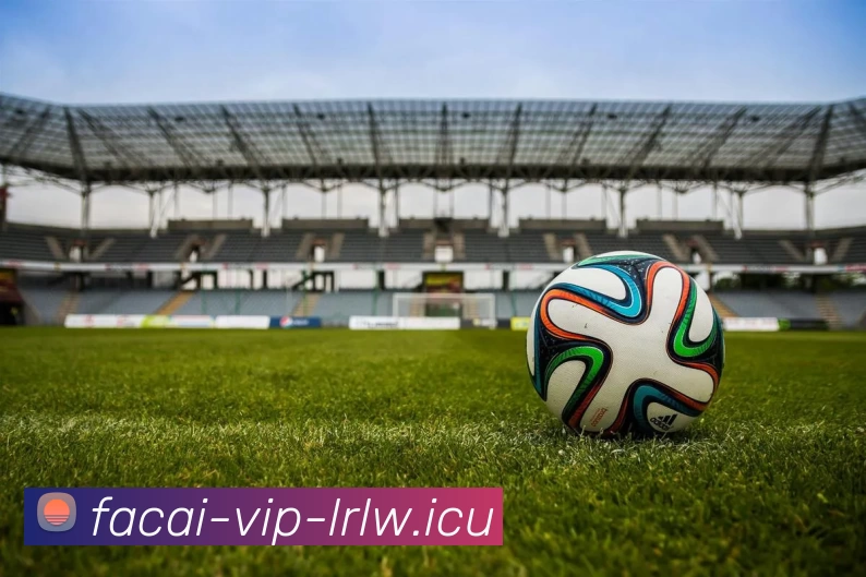 华体会体育平台生态图