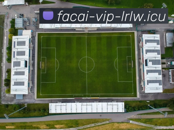 华体会体育全站App